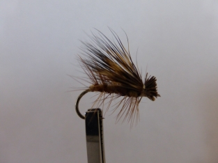 Size 12 Tan Elk Hair Caddis barbless